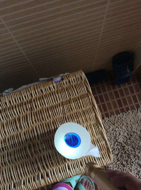  寶媽買了紫光手電，衣服上好多熒光劑，看的心慌害怕